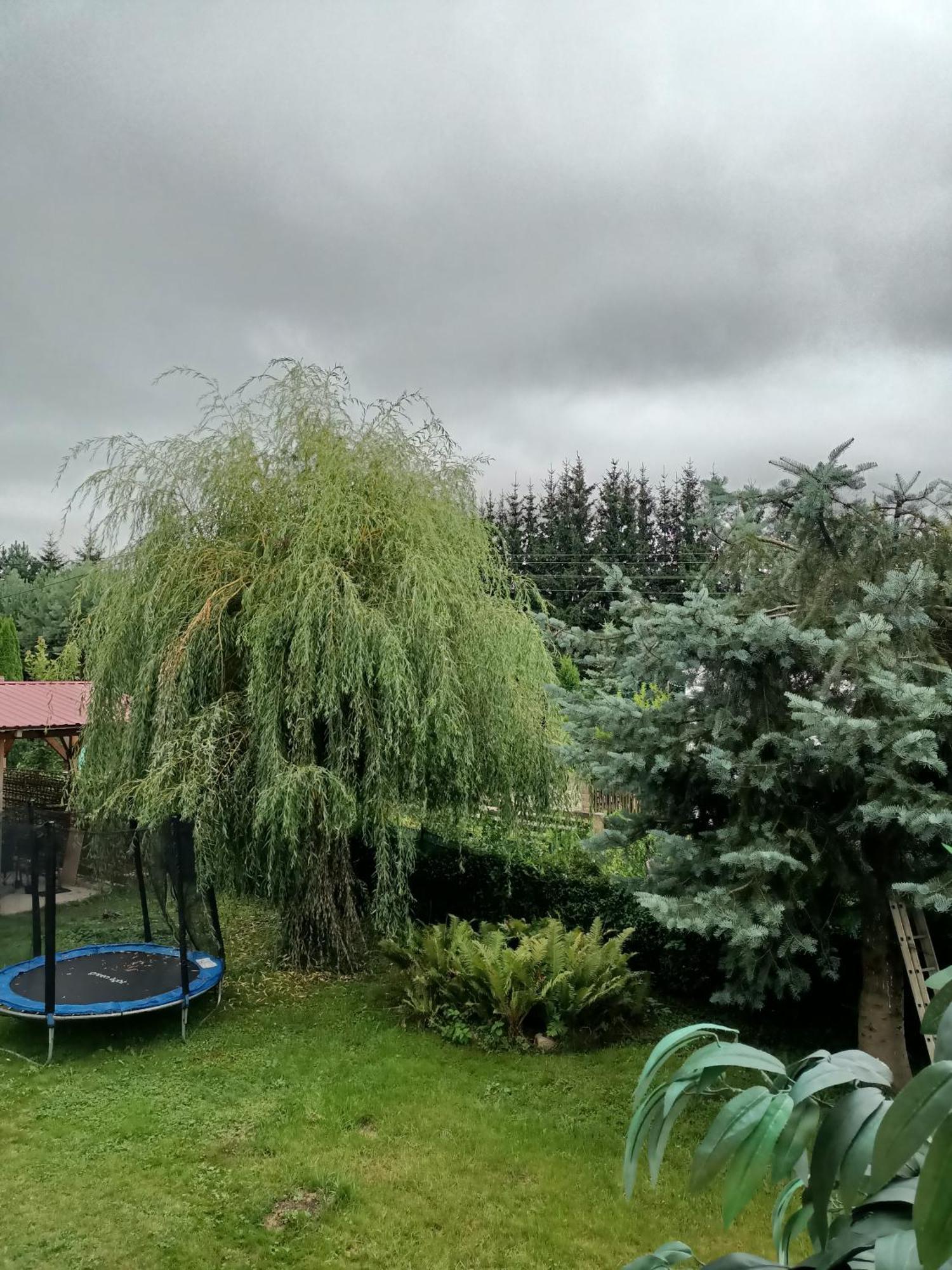 U Zbyszka Apartamento Kamienna Gora Quarto foto